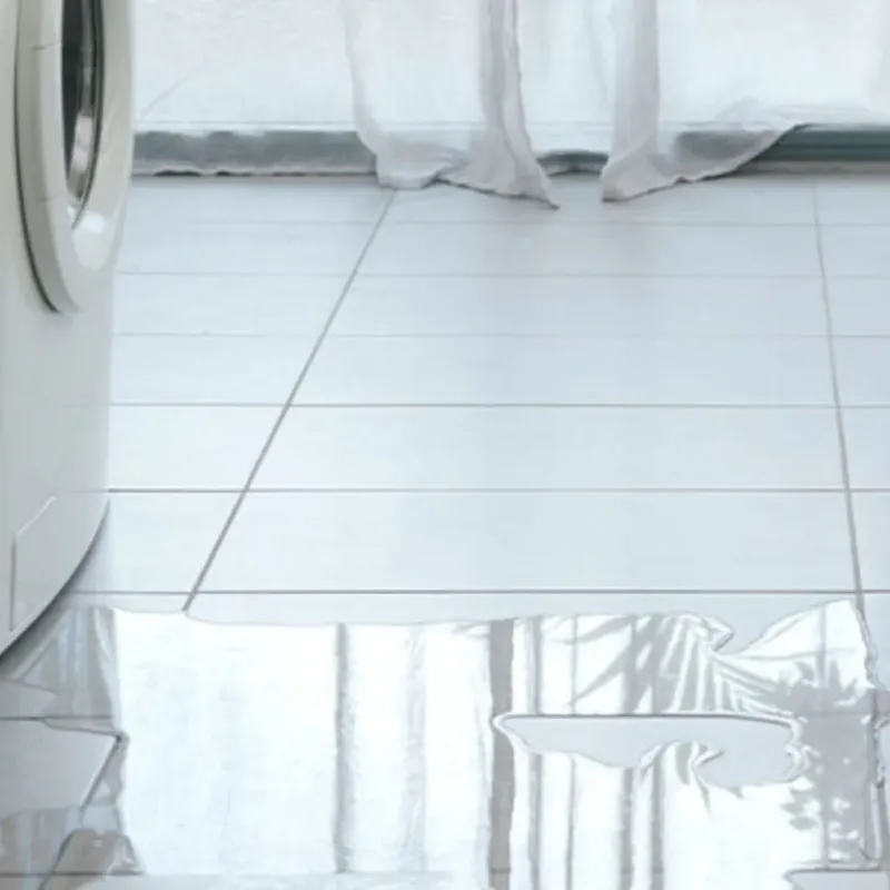 Appliance Leak Cleanup in Charlton County, GA
