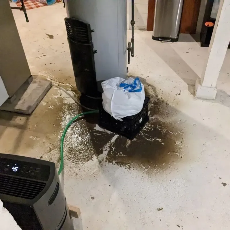 Sewage Backup Cleanup Service in Charlton County, GA
